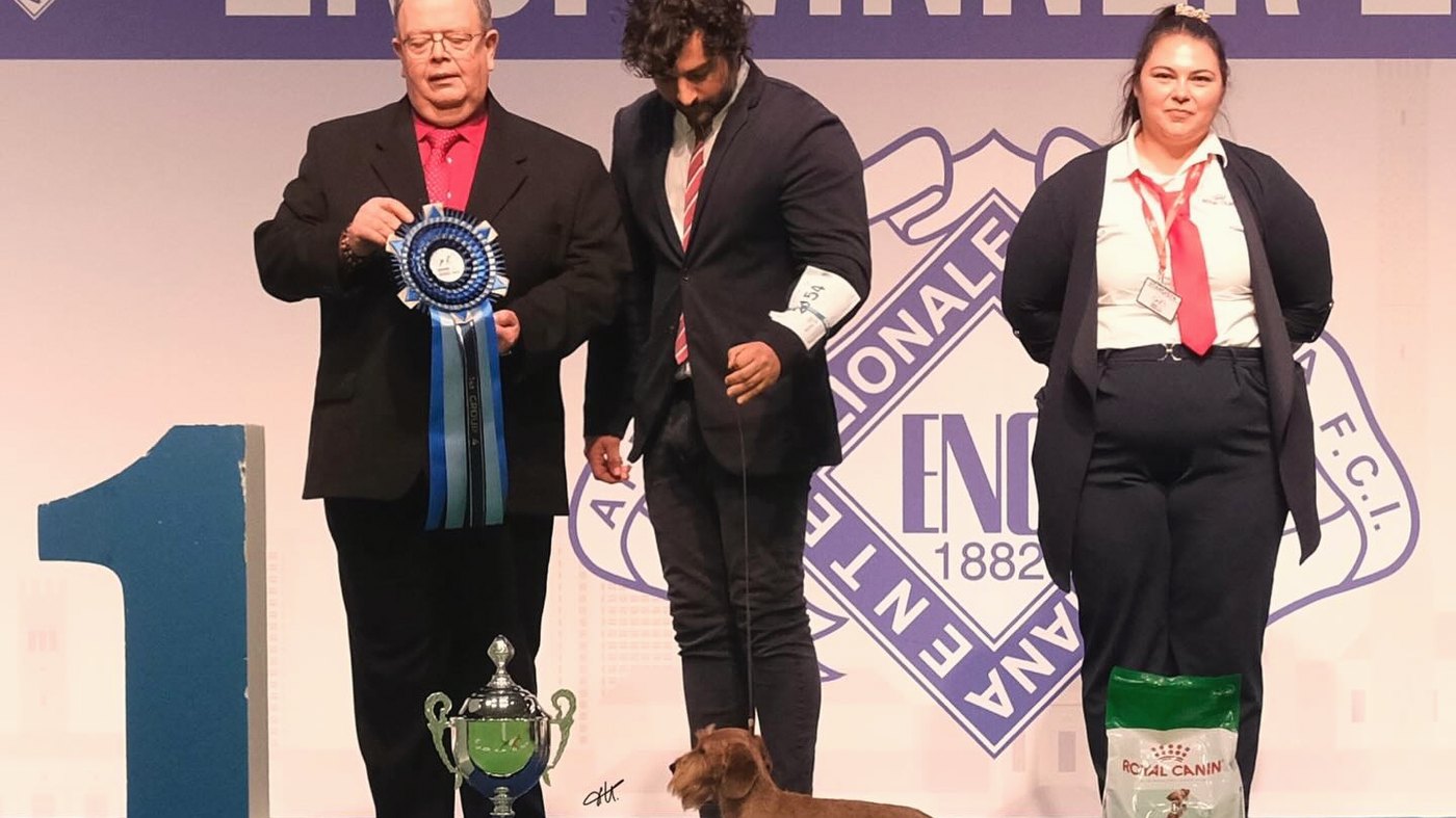The group podium at number one: the judge holding the blue rosette, the handler and the wirehaired dachshund beside the cup