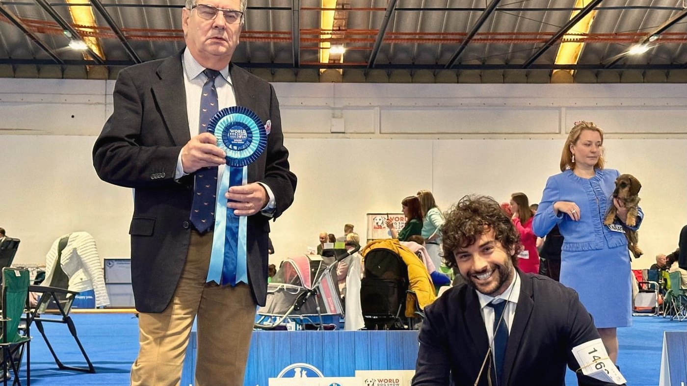 The judge holding the World Dog Show rosette, the handler kneeling in the ring beside him
