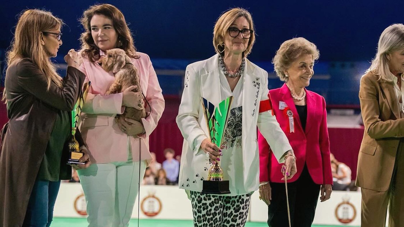 The final line-up in the ring: a puppy held in the arms of its handler, the judges beside her with the trophies