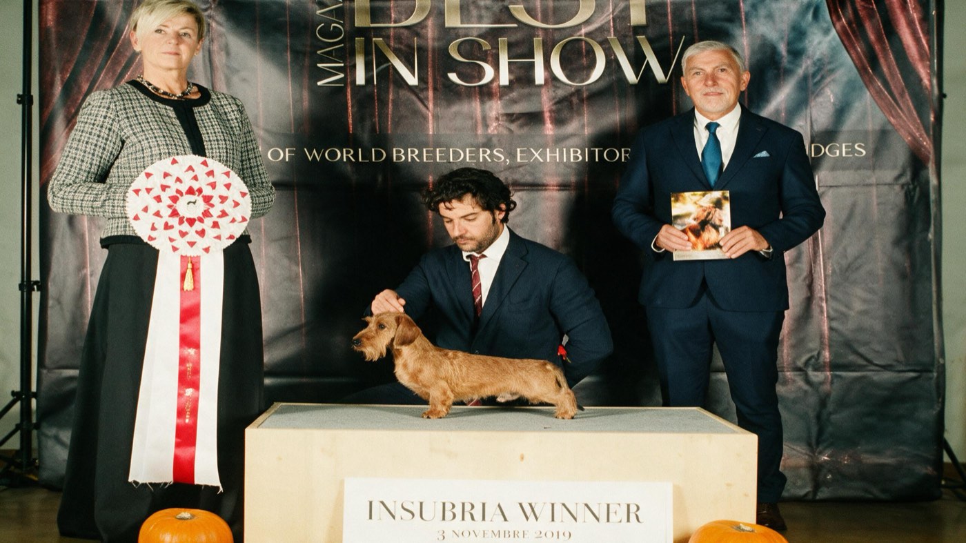 Photograph from the ring, from the house archive: Insubria Winner, 2019