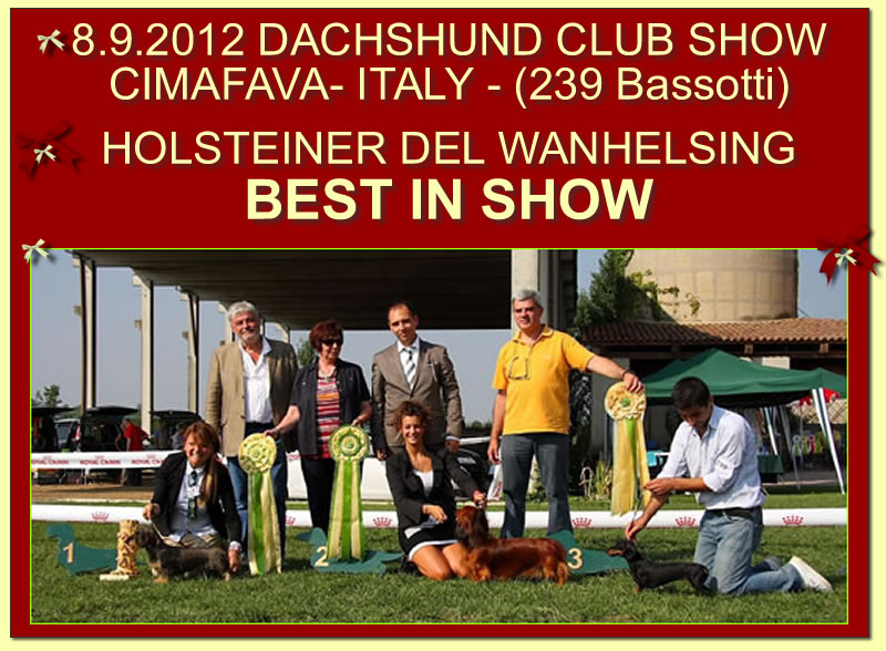 Title-card page from the house archive: Dachshund Club Show · Cimafava, 2012