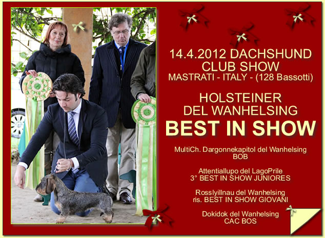 Title-card page from the house archive: Dachshund Club · Mastrati, 2012