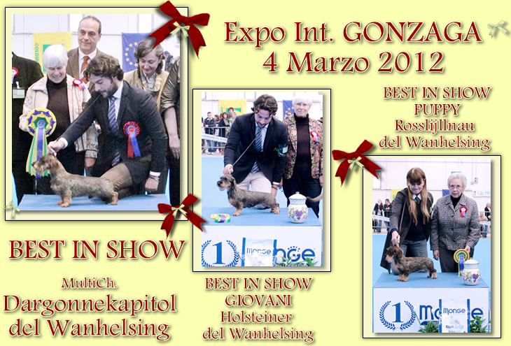 Title-card page from the house archive: Esposizione · Gonzaga, 2012