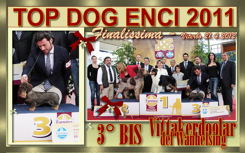 Title-card page from the house archive: Top Dog ENCI 2011, 2012