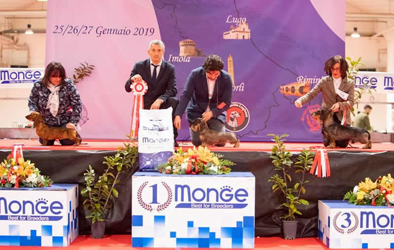 Photograph from the ring, from the house archive: Internazionale · Forlì–Rimini, 2019