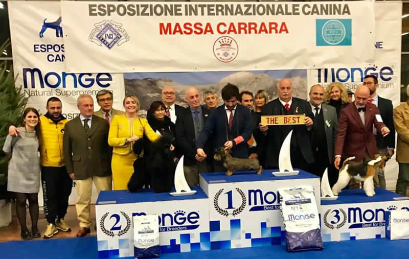 Photograph from the ring, from the house archive: Internazionale · Massa Carrara, 2019