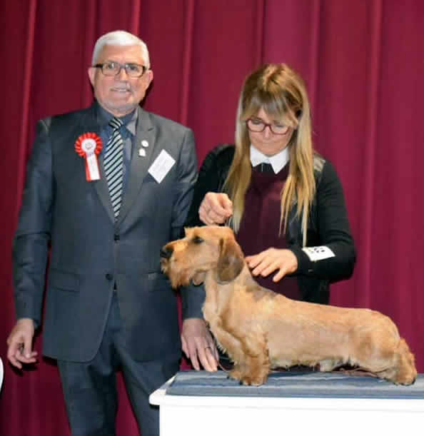 Photograph from the ring, from the house archive: Esposizione · Monte-Carlo, 2019