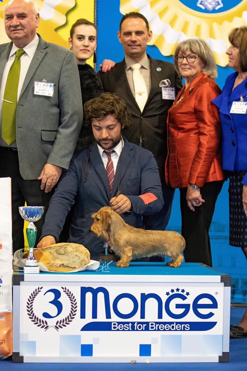 Photograph from the ring, from the house archive: Internazionale · Montichiari, 2019