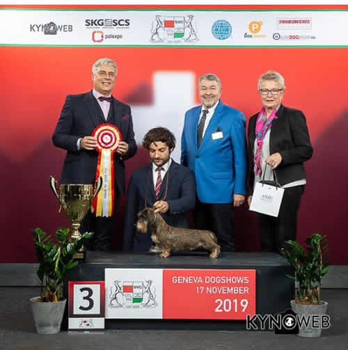 Photograph from the ring, from the house archive: Geneva Dog Shows · Genève, 2019